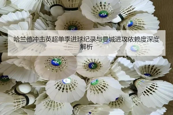 哈兰德冲击英超单季进球纪录与曼城进攻依赖度深度解析